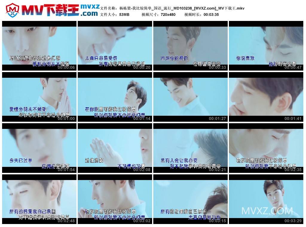 杨栋梁-我比较简单_国语_流行_MD103238